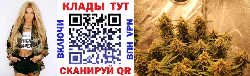 Купить закладку Пудож СК Амфетамин Cocaine Псилоцибиновые грибы Бошки Шишки МЕФ ГАШ