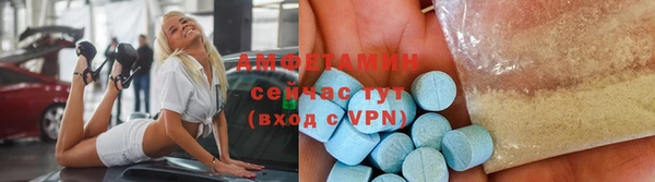 ГАЛЛЮЦИНОГЕННЫЕ ГРИБЫ Аркадак