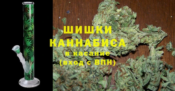 ГАЛЛЮЦИНОГЕННЫЕ ГРИБЫ Аркадак