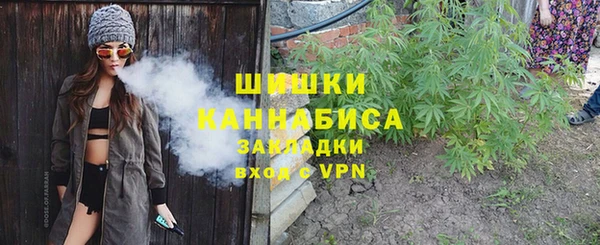 молекула духа Арсеньев