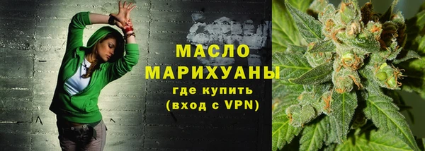 молекула духа Арсеньев