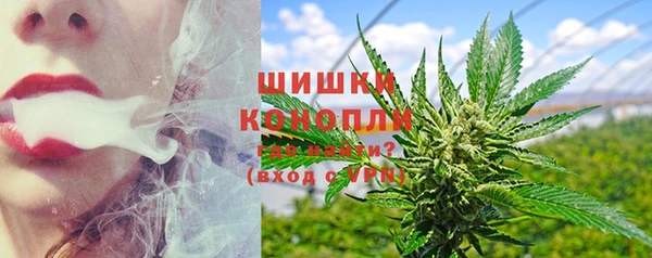 ГАЛЛЮЦИНОГЕННЫЕ ГРИБЫ Аркадак