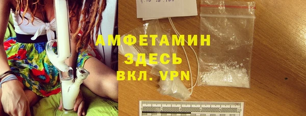 молекула духа Арсеньев