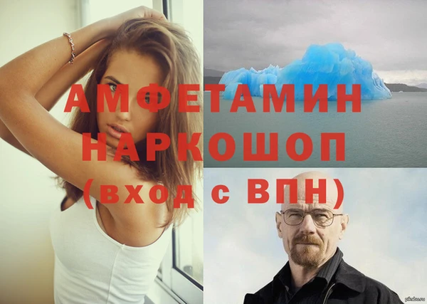 ГАЛЛЮЦИНОГЕННЫЕ ГРИБЫ Аркадак